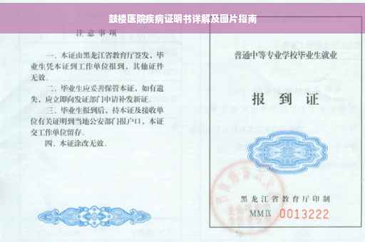 鼓楼医院疾病证明书详解及图片指南