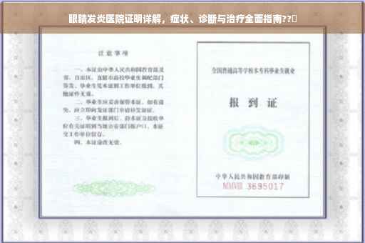 眼睛发炎医院证明详解，症状、诊断与治疗全面指南??️