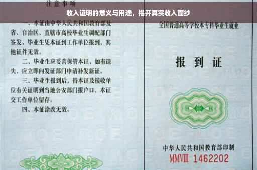 收入证明的意义与用途，揭开真实收入面纱