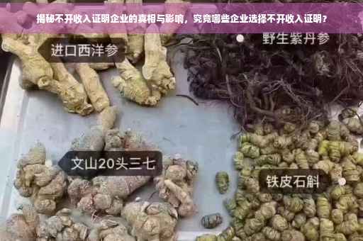 揭秘不开收入证明企业的真相与影响，究竟哪些企业选择不开收入证明？