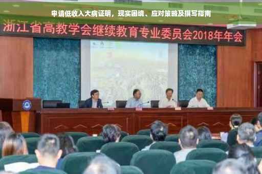 申请低收入大病证明，现实困境、应对策略及撰写指南