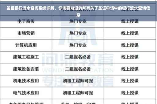 签证银行流水查询系统详解，你需要知道的所有关于签证申请中的银行流水查询信息