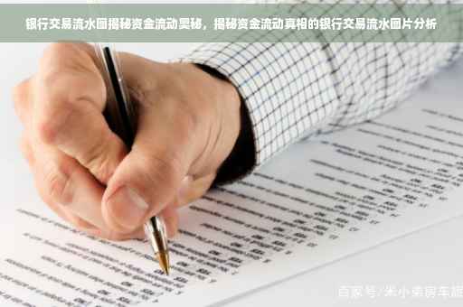 银行交易流水图揭秘资金流动奥秘，揭秘资金流动真相的银行交易流水图片分析