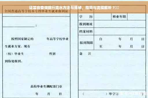 证监会查询银行流水方法与揭秘，指导与流程解析 ?⚡️