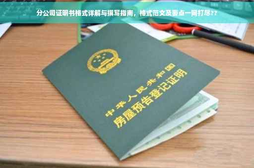 分公司证明书格式详解与撰写指南，格式范文及要点一网打尽??