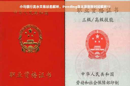 小马银行流水交易状态解析，Pending含义及到账时间解析??