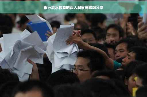 银行流水核查的深入洞察与感想分享