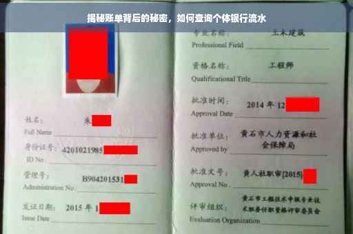 揭秘账单背后的秘密，如何查询个体银行流水