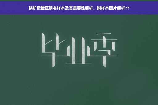 锅炉质量证明书样本及其重要性解析，附样本图片解析??