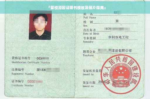 「留校原因证明书模板及图片指南」