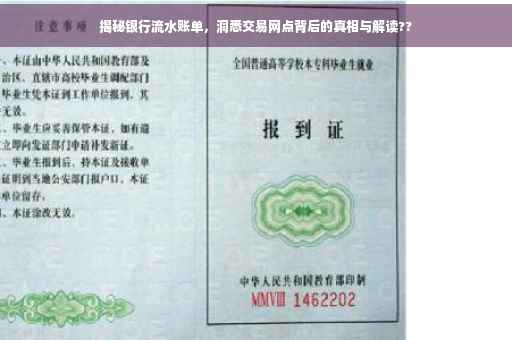 揭秘银行流水账单，洞悉交易网点背后的真相与解读??