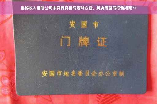 揭秘收入证明公司未开具真相与应对方案，解决策略与行动指南??