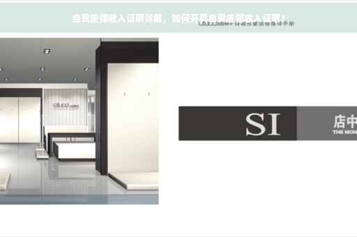 自贡底保收入证明详解，如何开具自贡底保收入证明？