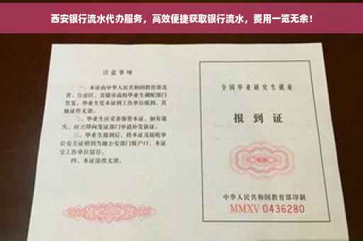 西安银行流水代办服务，高效便捷获取银行流水，费用一览无余！