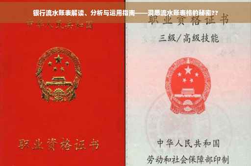 银行流水账表解读、分析与运用指南——洞悉流水账表格的秘密??