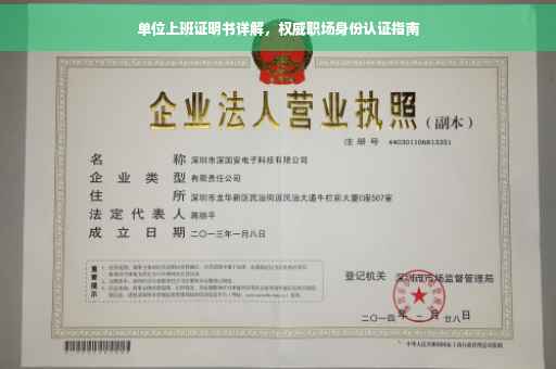 单位上班证明书详解，权威职场身份认证指南