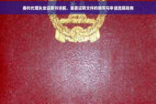 委托代理失业证明书详解，重要证明文件的撰写与申请流程指南