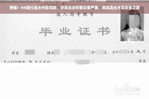 警惕！HR银行流水作假风险，涉及违法犯罪后果严重，真实流水才是安全之路