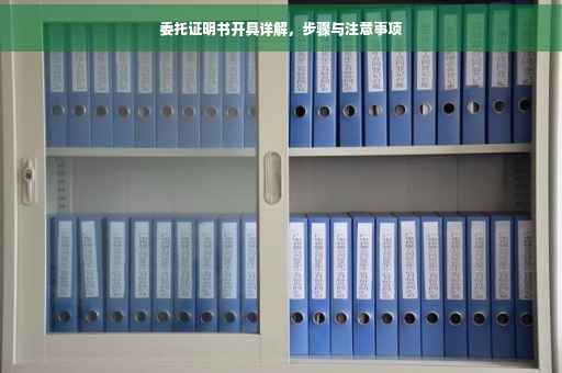 委托证明书开具详解，步骤与注意事项