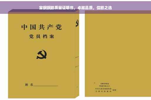 宝钢钢筋质量证明书，卓越品质，信赖之选