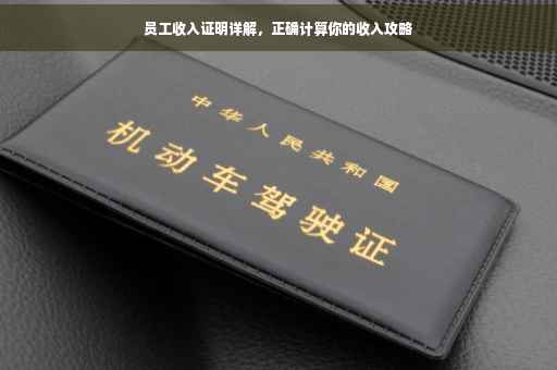 员工收入证明详解，正确计算你的收入攻略
