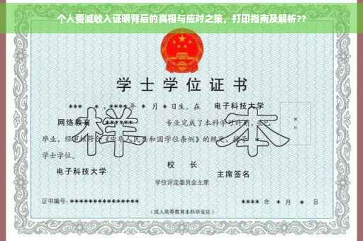 个人费减收入证明背后的真相与应对之策，打印指南及解析??