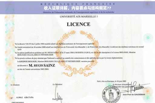收入证明详解，内容要点与结构概览??