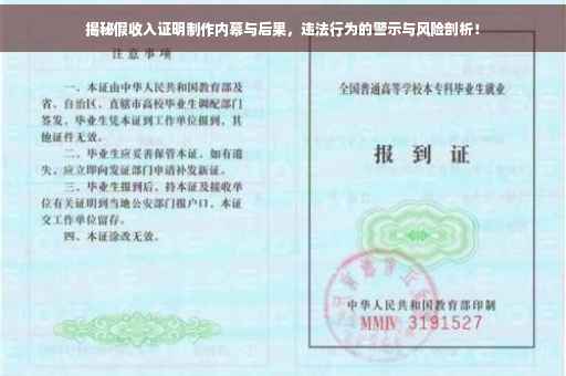 揭秘假收入证明制作内幕与后果，违法行为的警示与风险剖析！