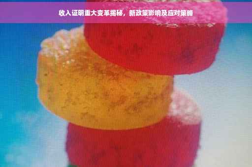 收入证明重大变革揭秘，新政策影响及应对策略