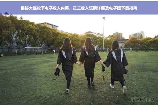 揭秘大连松下电子收入内幕，员工收入证明详解及电子版下载指南
