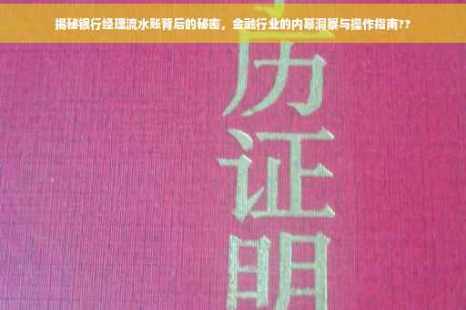 揭秘银行经理流水账背后的秘密，金融行业的内幕洞察与操作指南??