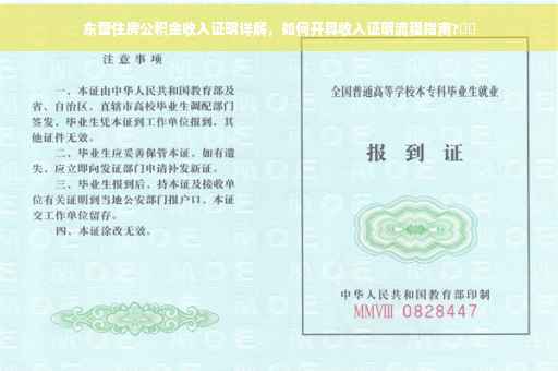 东营住房公积金收入证明详解，如何开具收入证明流程指南?⚡️
