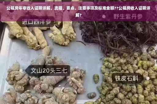 公租房年审收入证明详解，流程、要点、注意事项及标准金额??公租房收入证明详解?