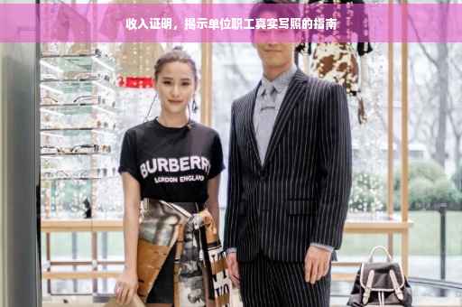 收入证明，揭示单位职工真实写照的指南