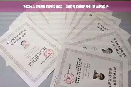 低保收入证明申请流程详解，如何开具证明及注意事项解析