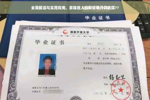 全面解读与实用指南，家庭收入报税证明开具流程??