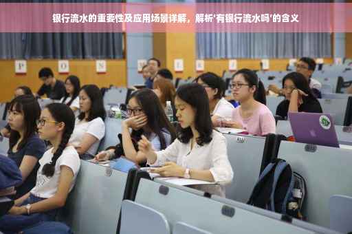 银行流水的重要性及应用场景详解，解析‘有银行流水吗’的含义