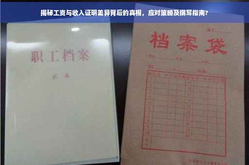揭秘工资与收入证明差异背后的真相，应对策略及撰写指南?