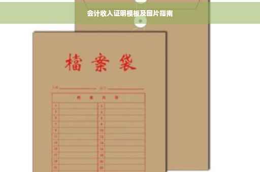 会计收入证明模板及图片指南