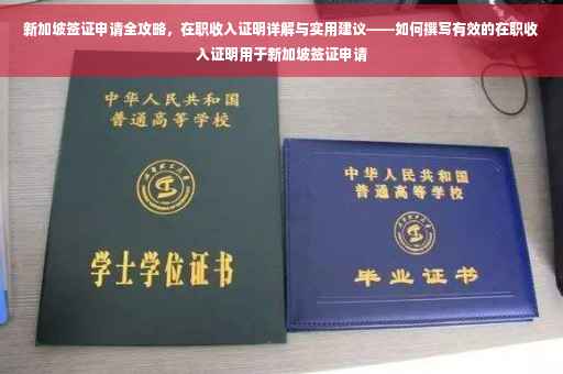 新加坡签证申请全攻略，在职收入证明详解与实用建议——如何撰写有效的在职收入证明用于新加坡签证申请
