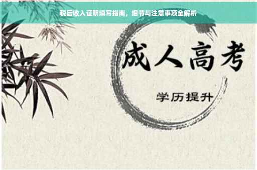 税后收入证明填写指南，细节与注意事项全解析