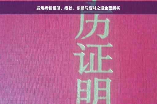 发烧病情证明，症状、诊断与应对之道全面解析