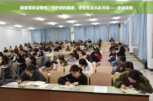 健康等级证明书，守护您的健康，无忧生活从此开启——查询指南