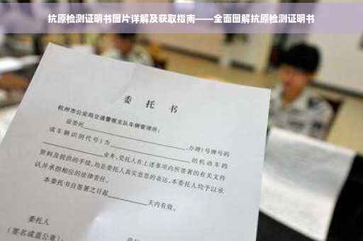 抗原检测证明书图片详解及获取指南——全面图解抗原检测证明书