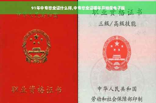 91年中专毕业证什么样,中专毕业证哪年开始是电子版