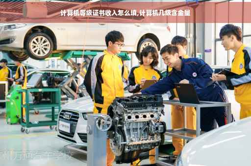 计算机等级证书收入怎么填,计算机几级含金量