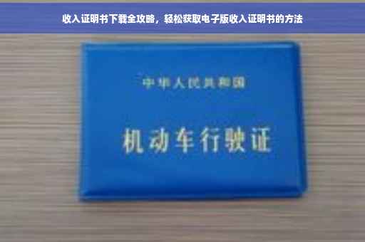 收入证明书下载全攻略，轻松获取电子版收入证明书的方法