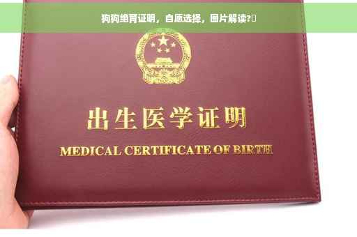 狗狗绝育证明，自愿选择，图片解读?✨
