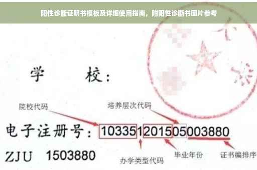 阳性诊断证明书模板及详细使用指南，附阳性诊断书图片参考