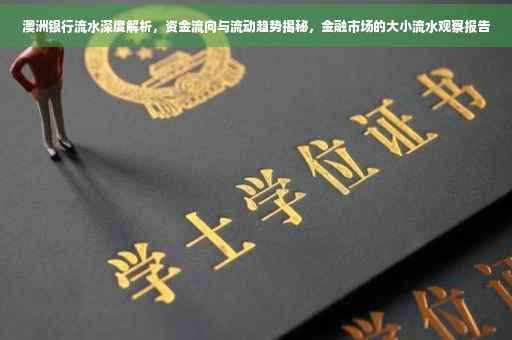 澳洲银行流水深度解析，资金流向与流动趋势揭秘，金融市场的大小流水观察报告